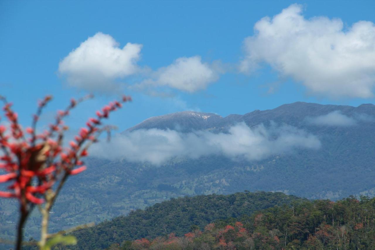Hotel Hacienda Monteclaro Turrialba Pokoj fotografie