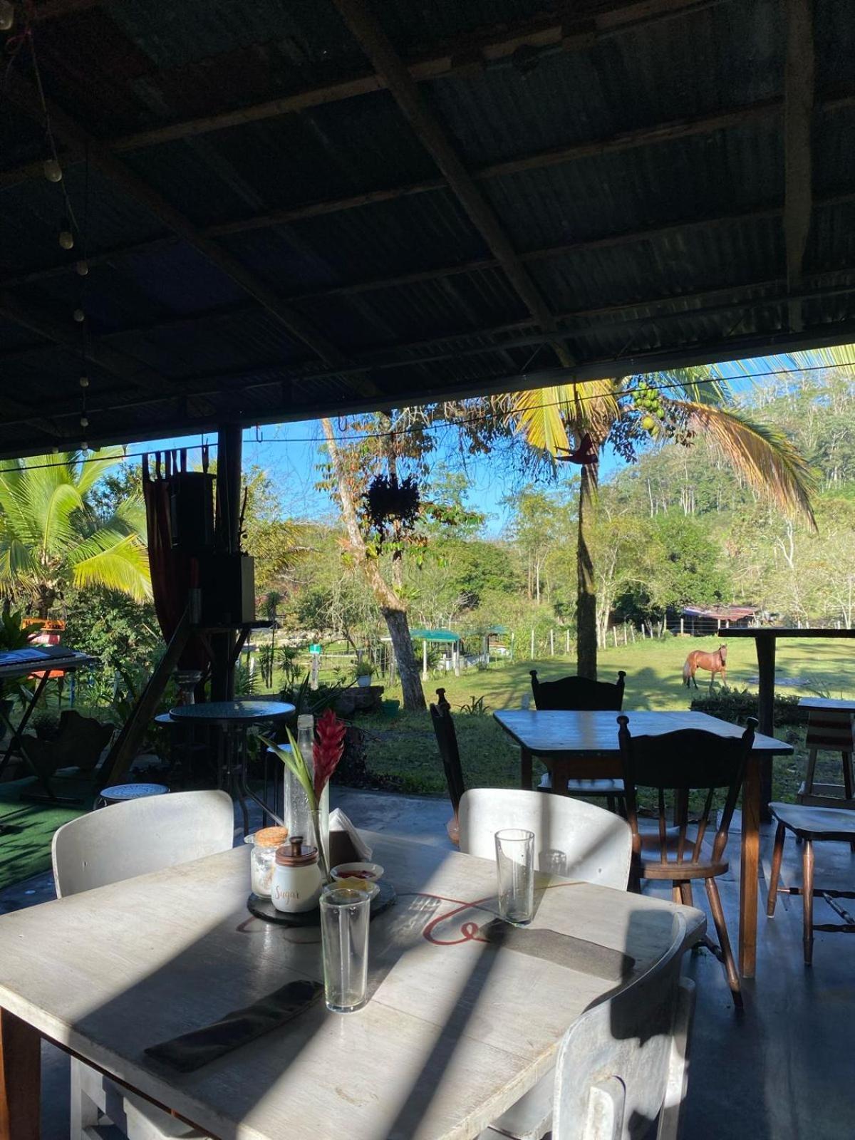 Hotel Hacienda Monteclaro Turrialba Exteriér fotografie