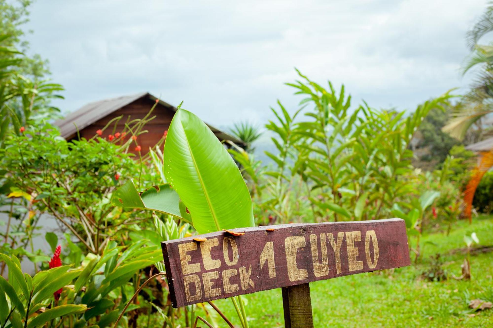 Hotel Hacienda Monteclaro Turrialba Exteriér fotografie